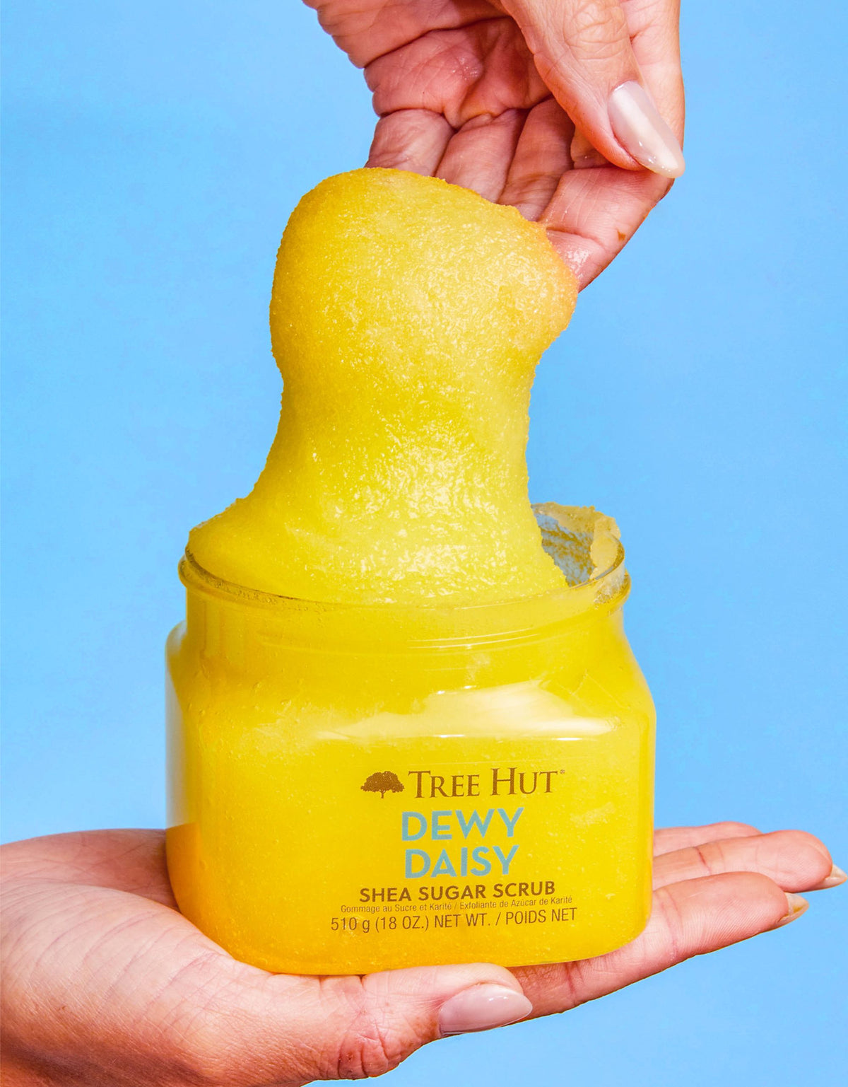 Dewy Daisy Shea Sugar Scrub product image 7