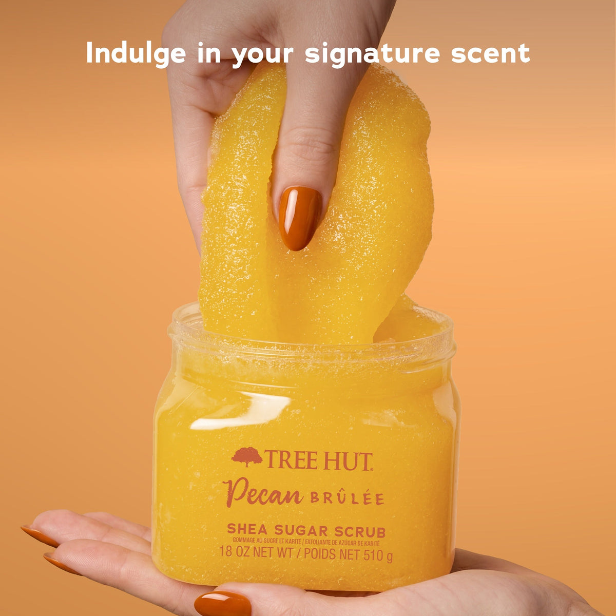 Pecan Brûlée Shea Sugar Scrub product image 3