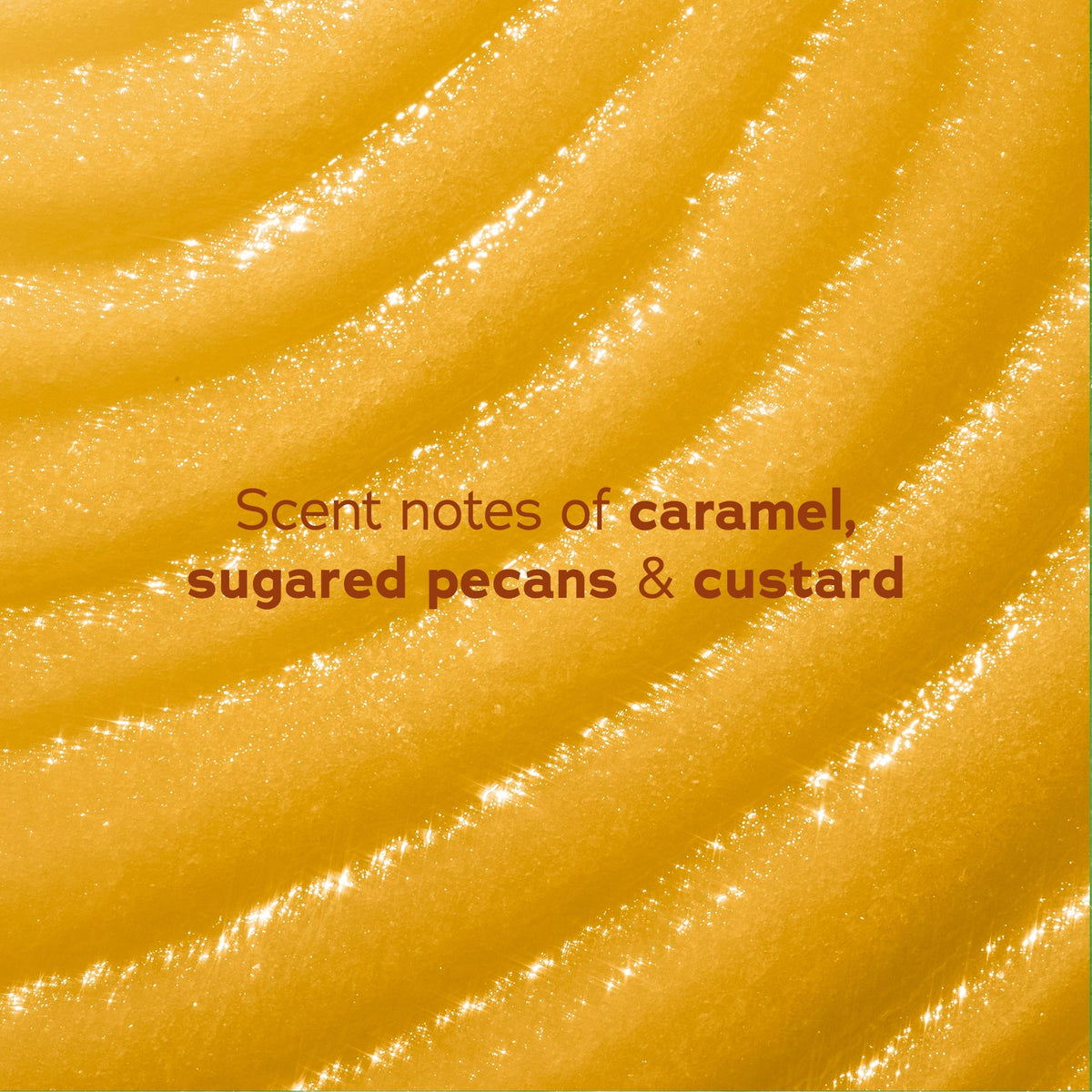 Pecan Brûlée Shea Sugar Scrub product image 5